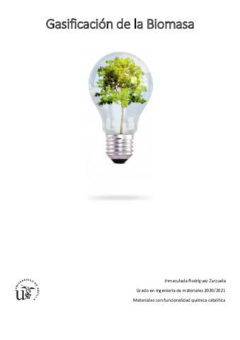 Gasificacion-de-Biomasa-Informe.pdf