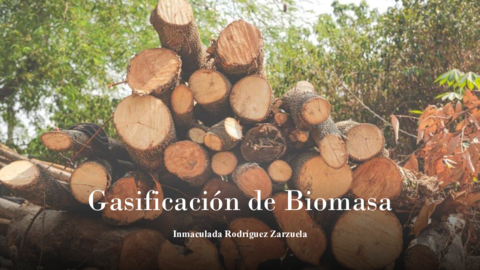 Gasificacion-de-Biomasa.pdf