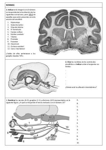 Examen-Anatomia-I-Enero-2019.pdf