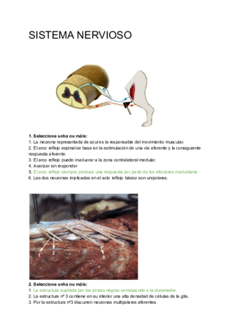 Preguntas-Anatomia-Pablo-julio-2019-2020.pdf