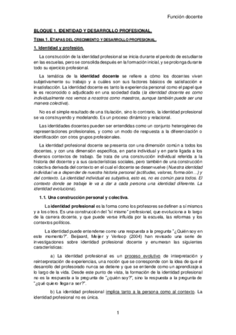 Apuntes-Funcion-docente.pdf