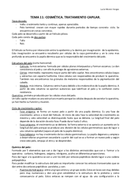 TEMA 11.pdf