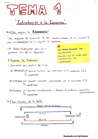 Tema-1-economia.pdf