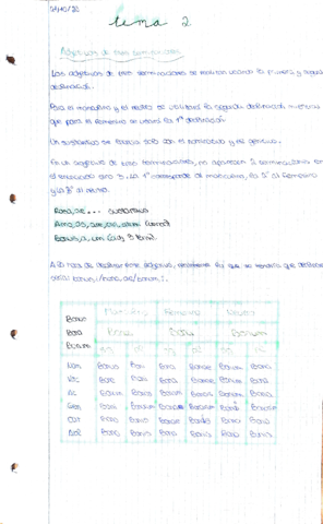 adjetivos-de-3-terminaciones-analisis-de-frases-y-reglas-ortograficas-para-lectura-y-ejercicios-resueltos.pdf