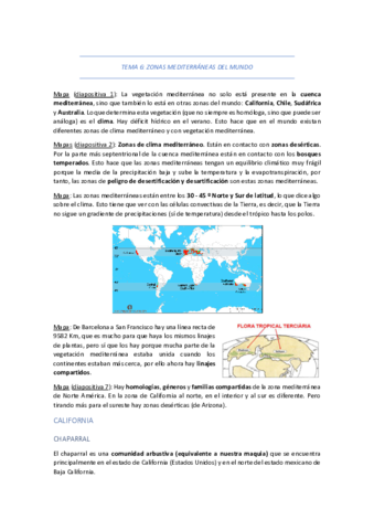 TEMA-6-ZONAS-MEDITERRANEAS-DEL-MUNDO.pdf