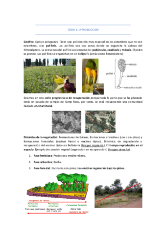 TEMA-1-INTRODUCCION-2.pdf