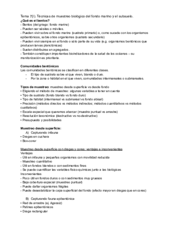 MO-TEMA-7.pdf