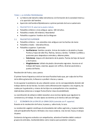 tema-1-historia.pdf