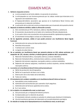 EXAMEN-MICIA.pdf