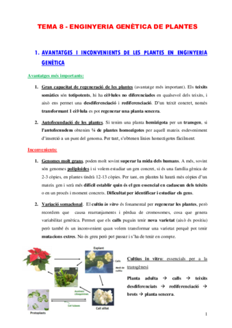 Tema-8-i-9.pdf