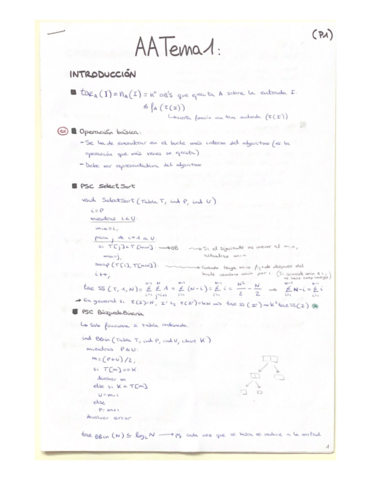 AATema1-resumen.pdf
