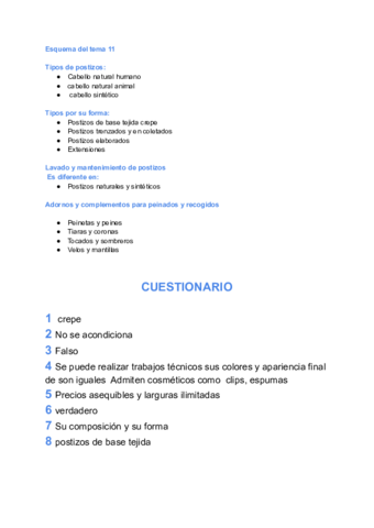 TEMA-11-POSTIZOS-Y-ADORNOS.pdf