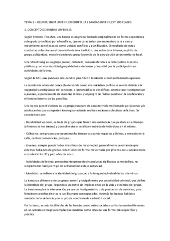 Tema 5.pdf