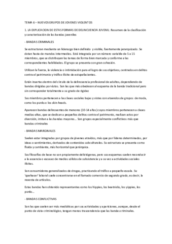 Tema 6.pdf