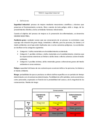 Tema-5-Seguridad-industrial.pdf