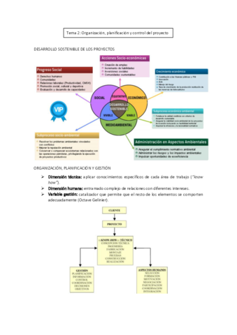 Tema-2-Organizacion-planificacion-y-control-del-proyecto.pdf
