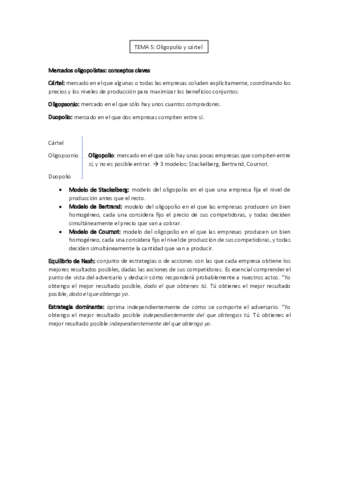 Tema-5-EI.pdf
