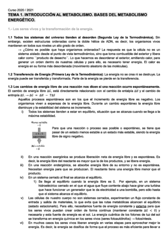 teoria-MyR-temas-1-2-3-4.pdf