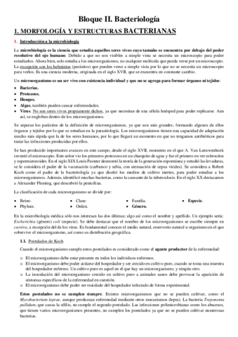 BLOQUE-II.pdf