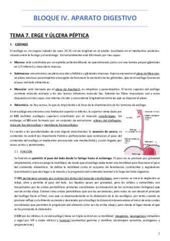 BLOQUE-IV.pdf