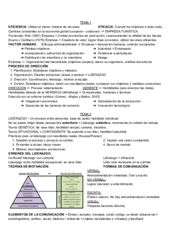 ESQUEMAS-DET.pdf