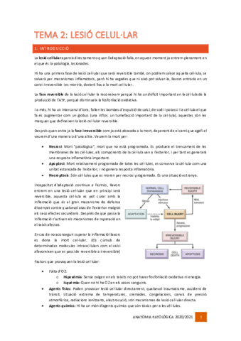 Tema-2-Lesio-cellular.pdf