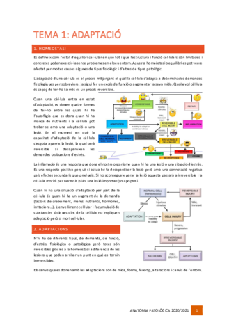 Tema-1-Adaptacio.pdf