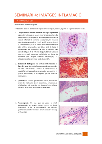 Seminari-4.pdf