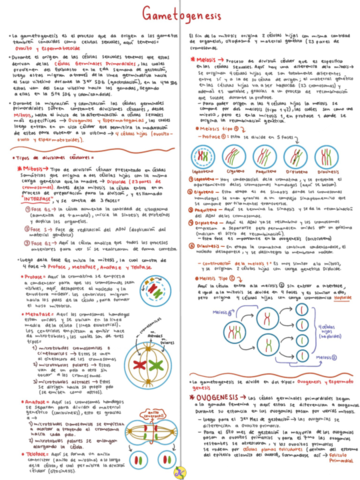 Gametogenesis.pdf