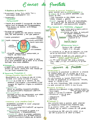 cancer-de-prostata.pdf