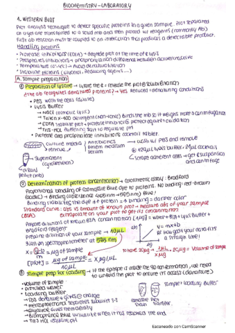 Bioquimica-LAB-apuntes.pdf