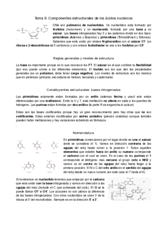 macro-tema-9.pdf