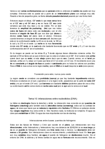macro-tema-10.pdf
