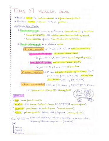 T17-Paralisis-facial.pdf