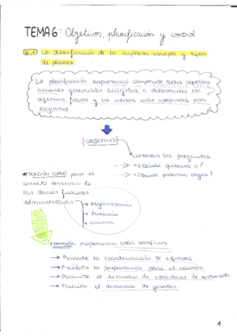 TEMA-6-ADMINISTRACION-DE-EMPRESAS.pdf