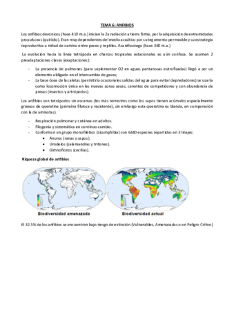 06.pdf