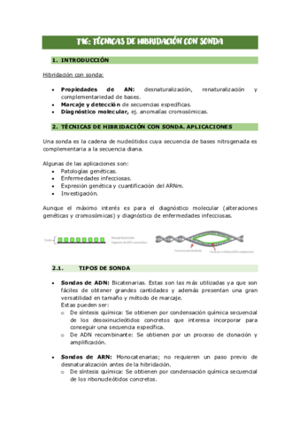 RESUMEN-T16-.pdf