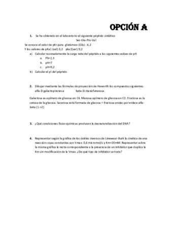 Primer Parcial (Opción A) 2013.pdf