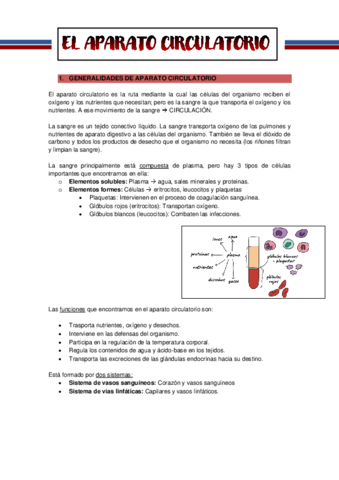 APARATO-CIRCULATORIO.pdf