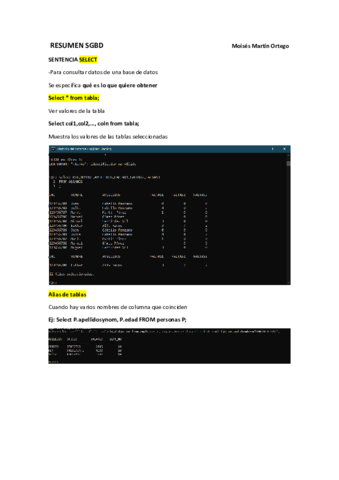 RESUMEN-SGBD.pdf