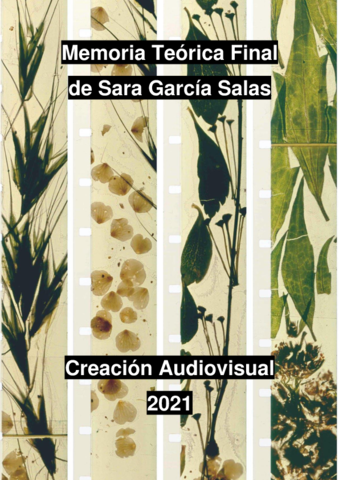 Memoria-Teorica-Final-de-Sara-Garcia-Salas-FINAL.pdf