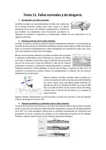 tema-11.pdf