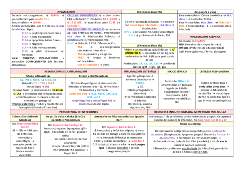 INMUNOPATO-TODOS-MIS-ESQUEMAS.pdf