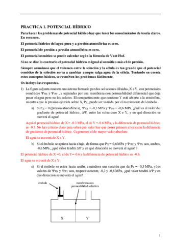 Problemas-BV.pdf
