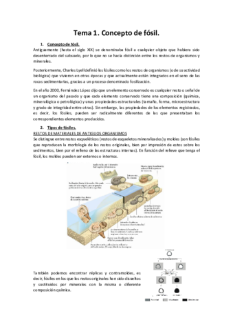 Tema-1.pdf