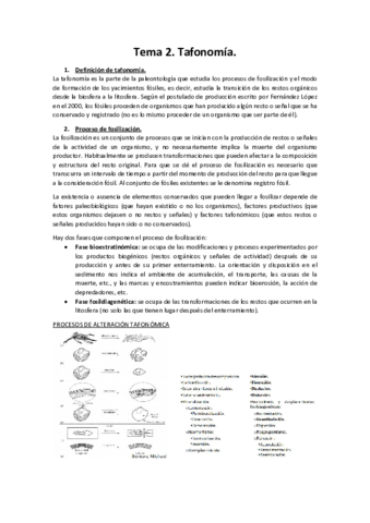 Tema-2.pdf