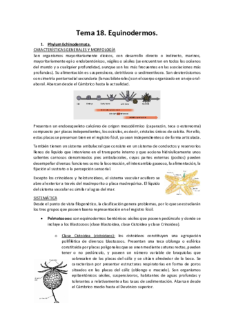 Tema-18.pdf
