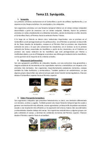 Tema-22.pdf