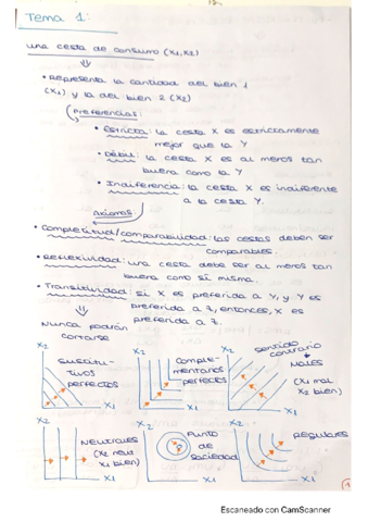 Apuntes-y-ejs-resueltos-TODOS-TEMAS.pdf