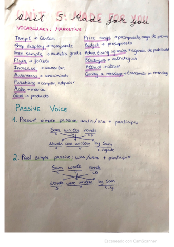 Passive-voice-and-vocabulary.pdf